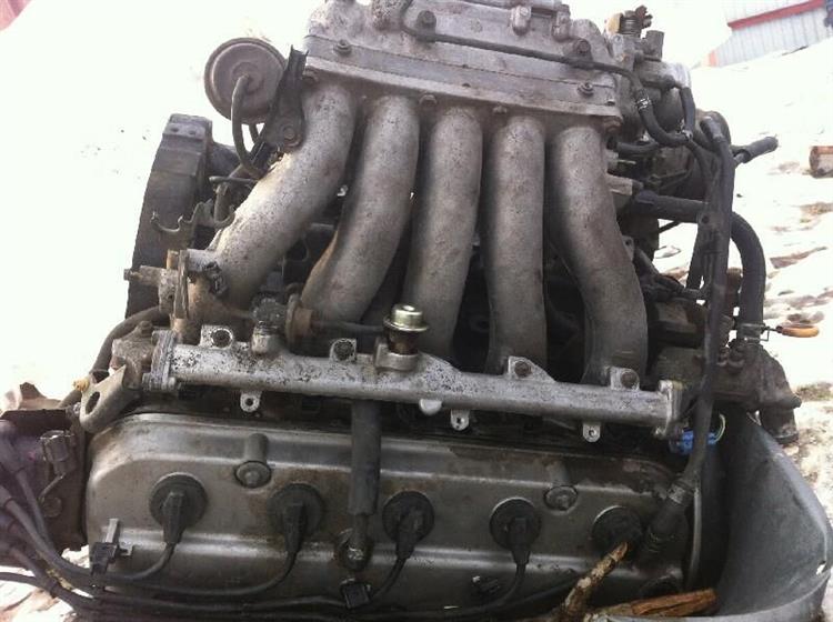 Двигатель Хонда Инспаер в Кургане 8996